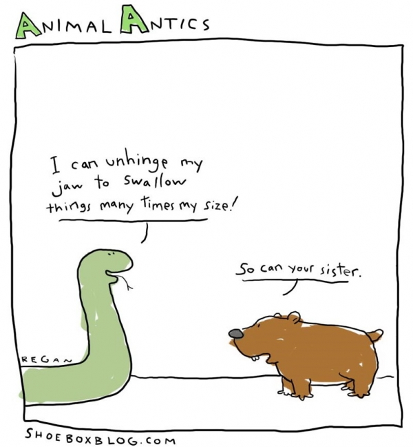 Animal humor